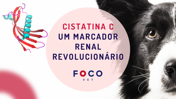 Cistatina C na veterinária: um marcador renal revolucionário