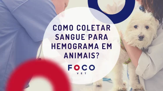 Coleta_sangue_animais