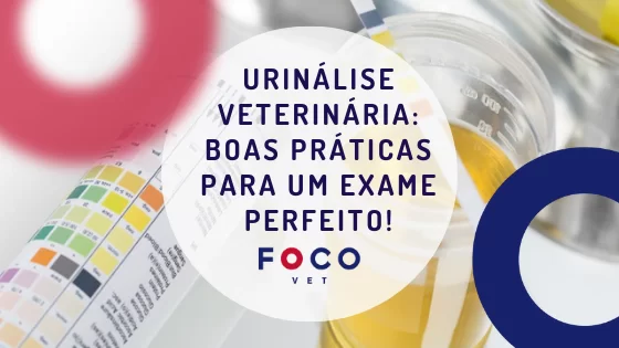 Úrinálise Veterinária