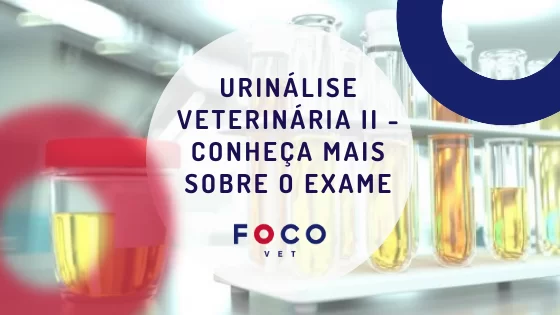 Urinálise Veterinária Amostras