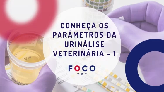 Parâmetros da Urinálise Veterinária