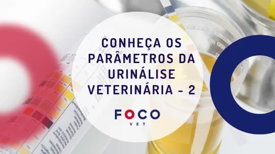 Urinálise Veterinária