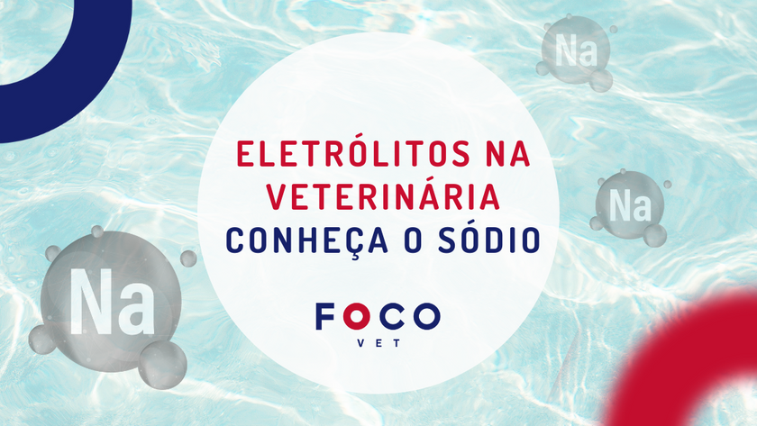 Conheça o sódio