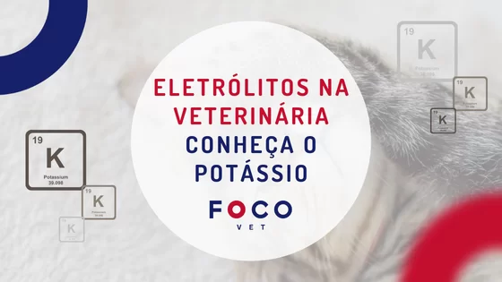 Conheça o potássio