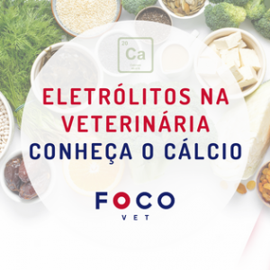 Home Page 15 cálcio na veterinária
