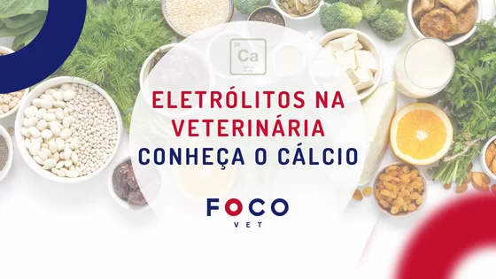cálcio na veterinária