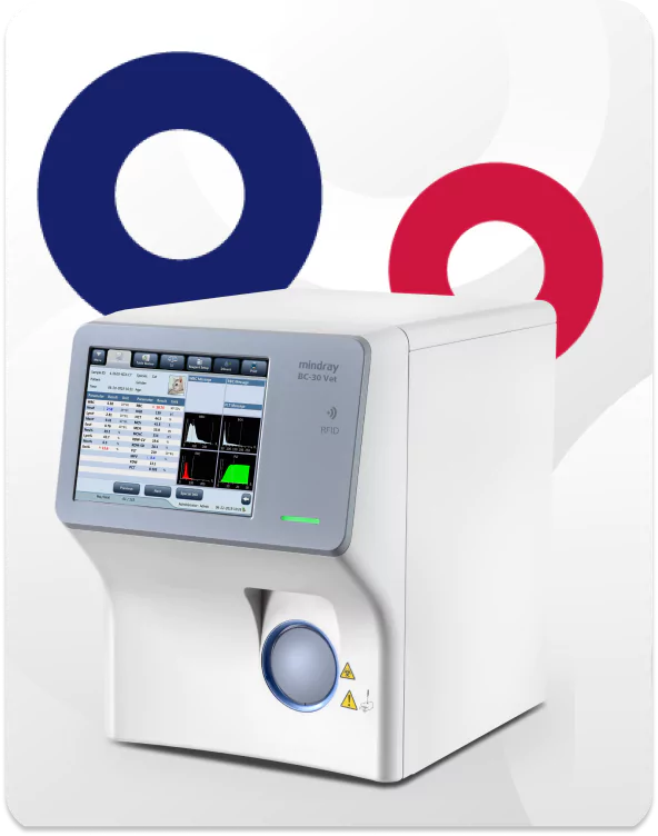 carrossel-2-65bb9d377263a