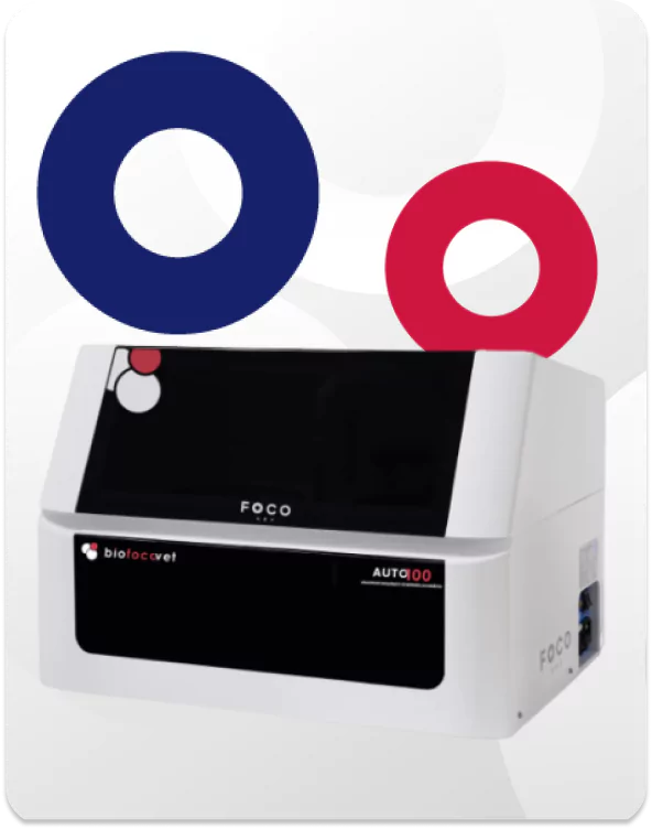 carrossel-65bb9d357b315