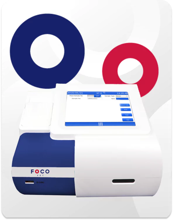 carrossel1-65bb9d36038c9