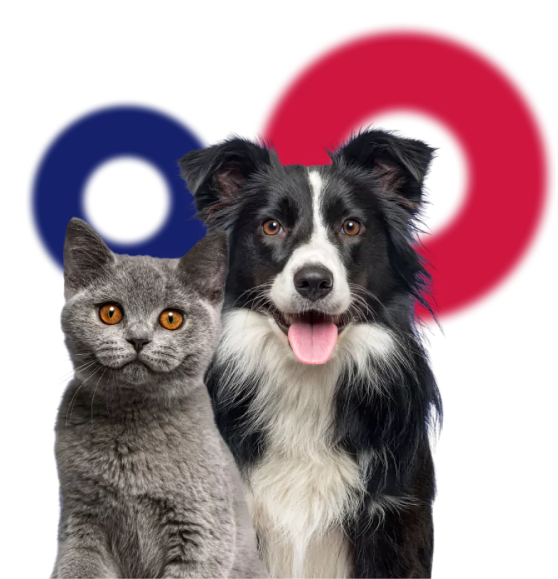 group 13 65bbce38e2d38