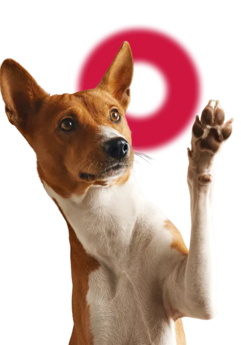 group 9 65bb9a6717f36